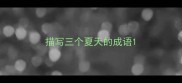 描写三个夏天的成语