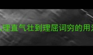 100个以理字结尾的成语全从理直气壮到理屈词穷的用法与记忆技巧附完整清单