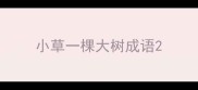 小草一棵大树成语