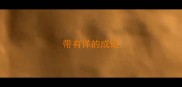 带有详的成语