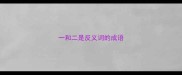 一和二是反义词的成语