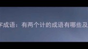 包含计字的四字成语有两个计的成语有哪些及实用应用指南