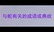 与蛇有关的成语或典故