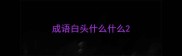 成语白头什么什么