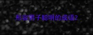 形容男子聪明的成语