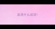 直透什么成语
