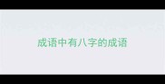 成语中有八字的成语