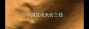 中国成语大会主题
