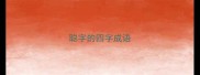 聪字的四字成语