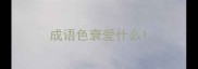 成语色衰爱什么