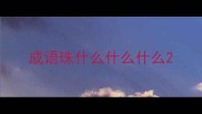 成语珠什么什么什么