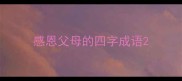 感恩父母的四字成语