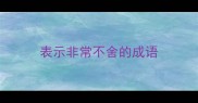 表示非常不舍的成语