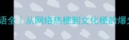 地人成语全从网络热梗到文化梗的爆火密码