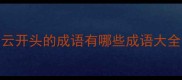 云开头的成语有哪些成语大全