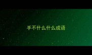 手不什么什么成语