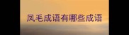 凤毛成语有哪些成语