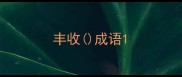 丰收成语
