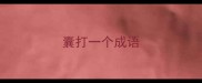囊打一个成语