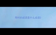 带时的成语是什么成语