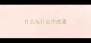 什么龟什么中成语