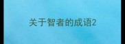 关于智者的成语