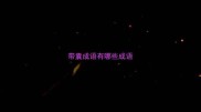 带囊成语有哪些成语
