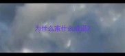 为什么家什么成语