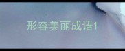形容美丽成语