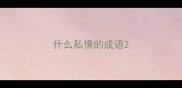 什么私情的成语