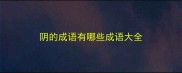 阴的成语有哪些成语大全