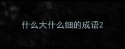 什么大什么细的成语