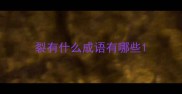 裂有什么成语有哪些