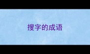 搜字的成语