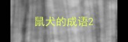 鼠犬的成语