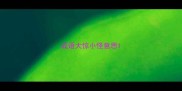 成语大惊小怪意思