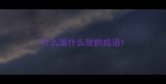 什么浪什么驶的成语