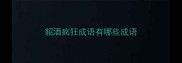 貂酒疯狂成语有哪些成语