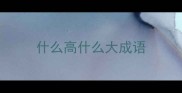 什么高什么大成语