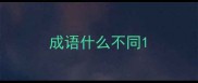 成语什么不同