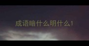 成语暗什么明什么