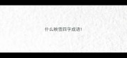 什么映雪四字成语