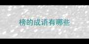 榜的成语有哪些
