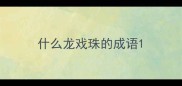 什么龙戏珠的成语