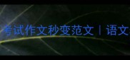 高频四字成语100个考试作文秒变范文语文老师都在用的提分秘籍