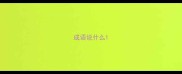 成语说什么