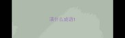 满什么成语