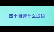 四个目读什么成语