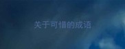 关于可惜的成语