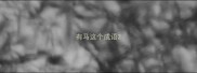 有马这个成语